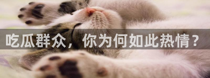 51cg吃瓜网今日吃瓜:吃瓜群众,你为何如此热情?