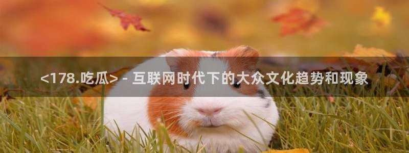 51吃瓜今日吃瓜娜娜:<178.吃瓜> - 互联网时代下的大众文化趋势和现象