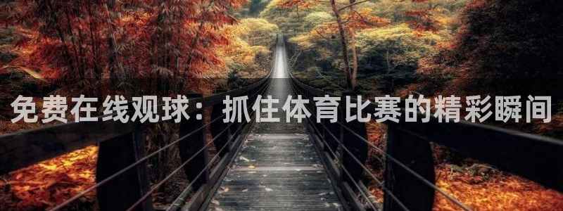 各种网红爆料吃瓜网站:免费在线观球:抓住体育比赛的精彩瞬间